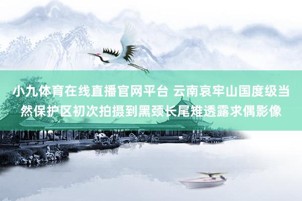 小九体育在线直播官网平台 云南哀牢山国度级当然保护区初次拍摄到黑颈长尾雉透露求偶影像