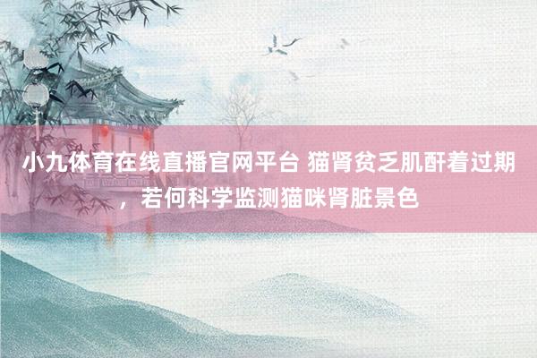 小九体育在线直播官网平台 猫肾贫乏肌酐着过期，若何科学监测猫咪肾脏景色