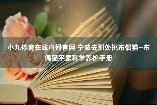 小九体育在线直播官网 宁波去那处挑布偶猫—布偶猫平素科学养护手册