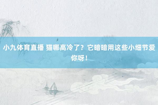 小九体育直播 猫哪高冷了？它暗暗用这些小细节爱你呀！
