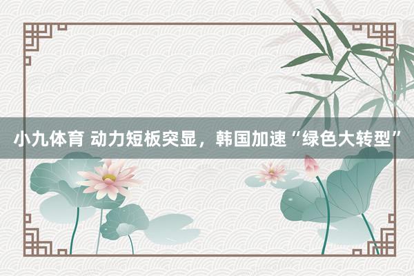 小九体育 动力短板突显，韩国加速“绿色大转型”