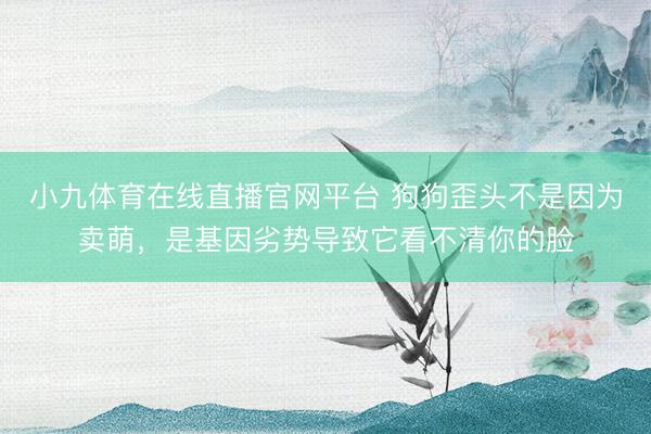 小九体育在线直播官网平台 狗狗歪头不是因为卖萌，是基因劣势导致它看不清你的脸
