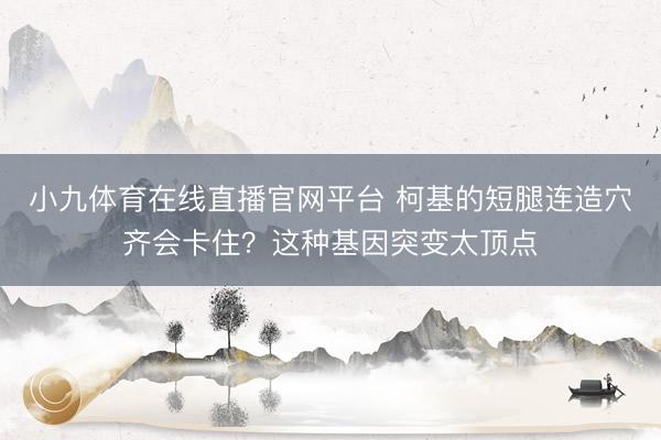 小九体育在线直播官网平台 柯基的短腿连造穴齐会卡住？这种基因突变太顶点