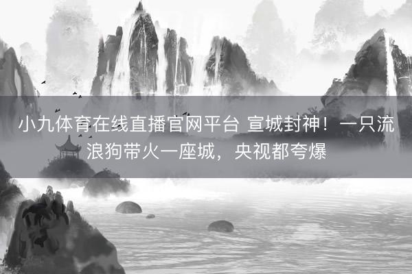 小九体育在线直播官网平台 宣城封神！一只流浪狗带火一座城，央视都夸爆